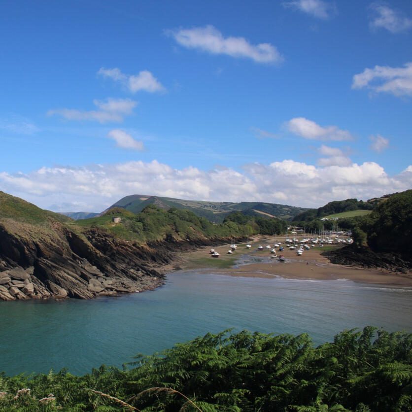 A Devon coastal landscape