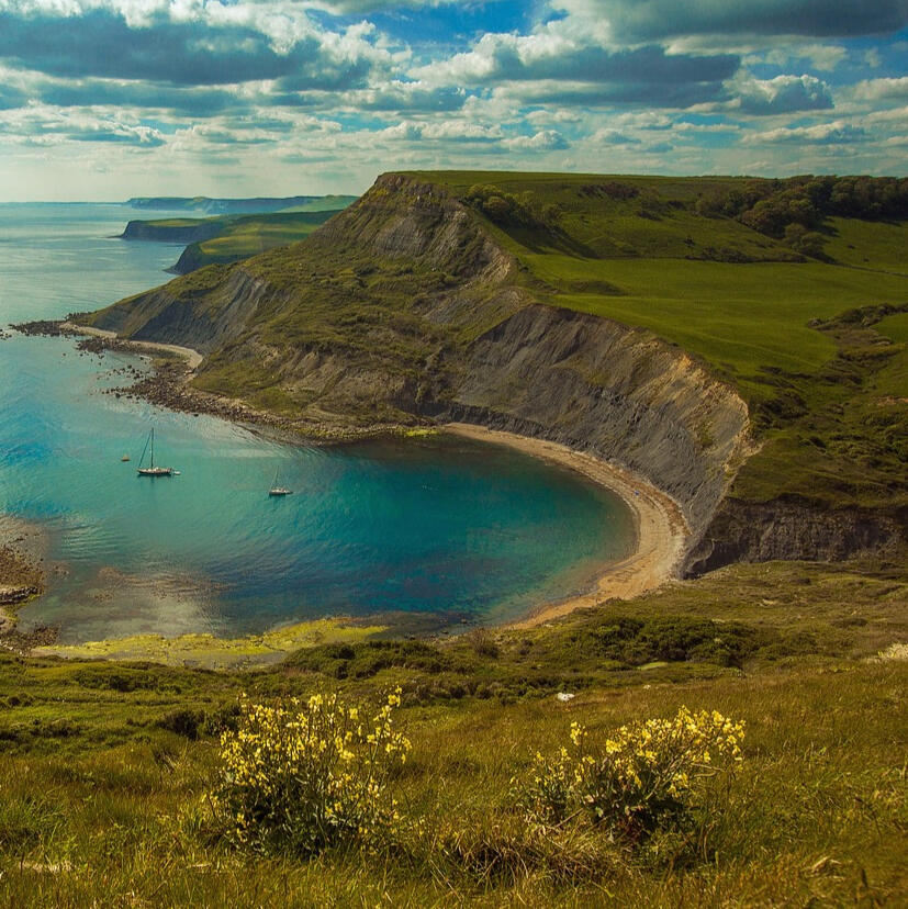 The Dorset Coast