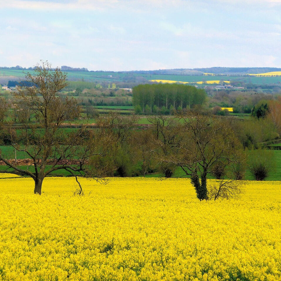 A field in Gloucestershire