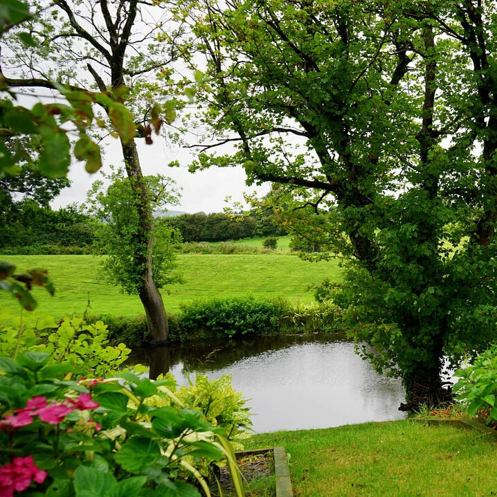 Lovely view of a field and river