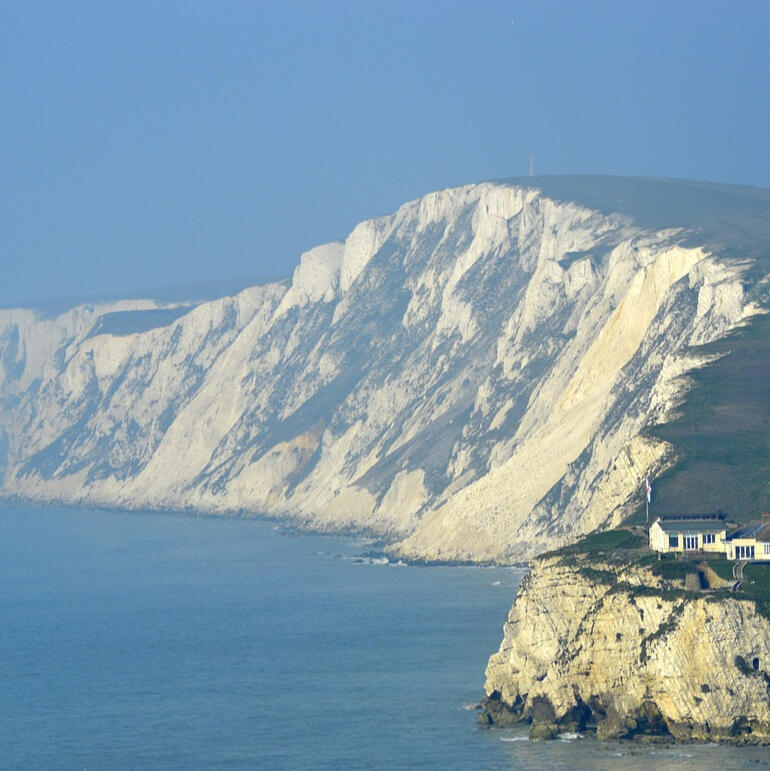 Flowers in Hertfordshire