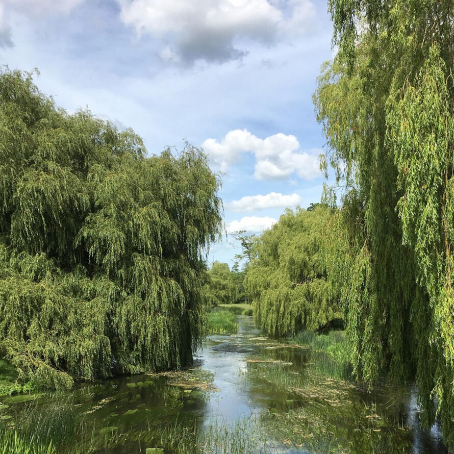 River Stour in Kent