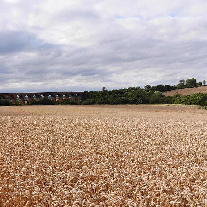 Field in Leicestershire